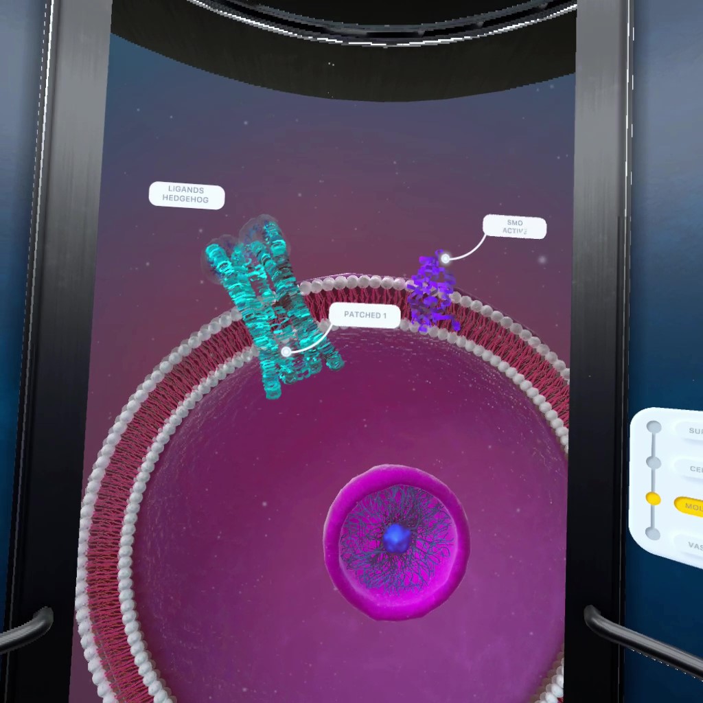 SkinDepth (VR) — project hero