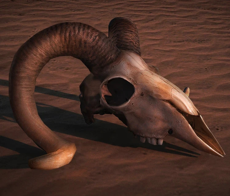 Modelisation & Texturing — project visual